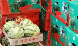 蚌埠吃瓜最新事件爆料新闻,揭秘背后惊人真相