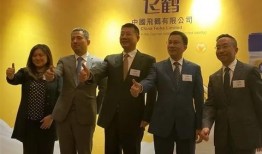 飞鹤最新爆料新闻视频下载,揭秘视频背后的惊人真相