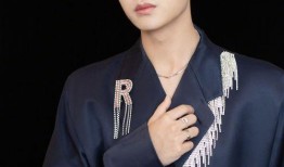 央视爆料任嘉伦视频回放,任嘉伦视频回放背后的真相